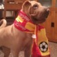 Animando a la roja!